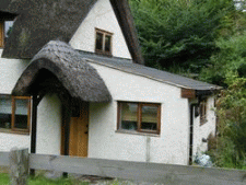 Slate roof kitchen extension